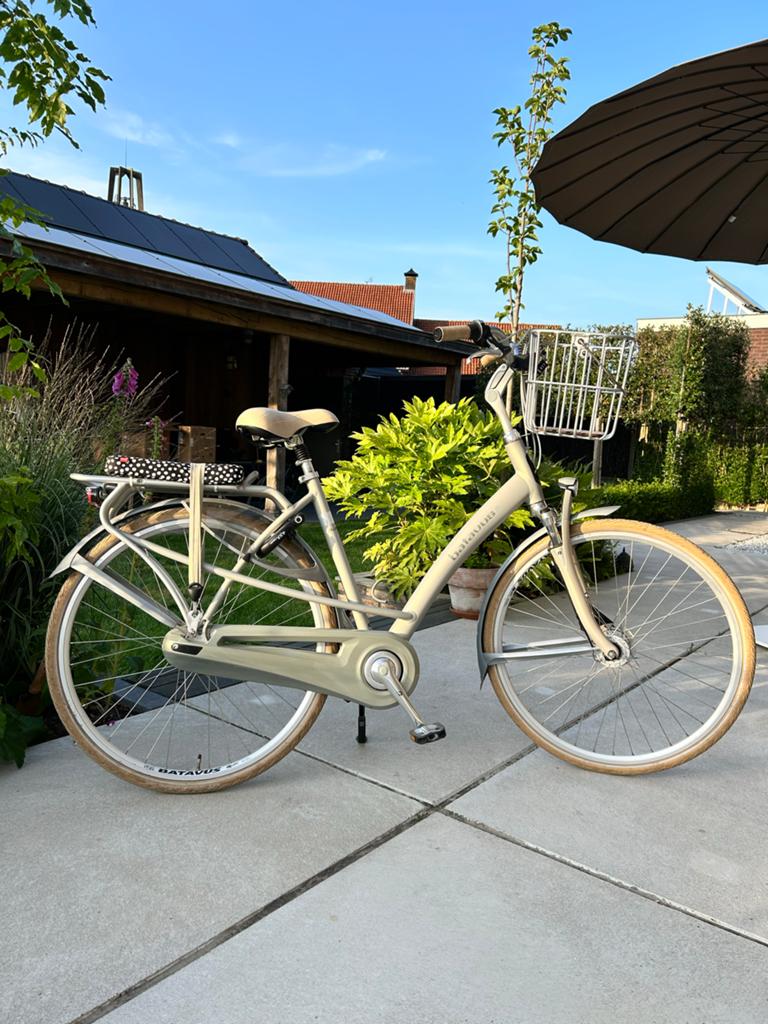 Batavus Mambo Titaan Mat - damesfiets 7 versnellingen, 53 tot 56 cm, Versnellingen, Batavus, Ophalen of Verzenden