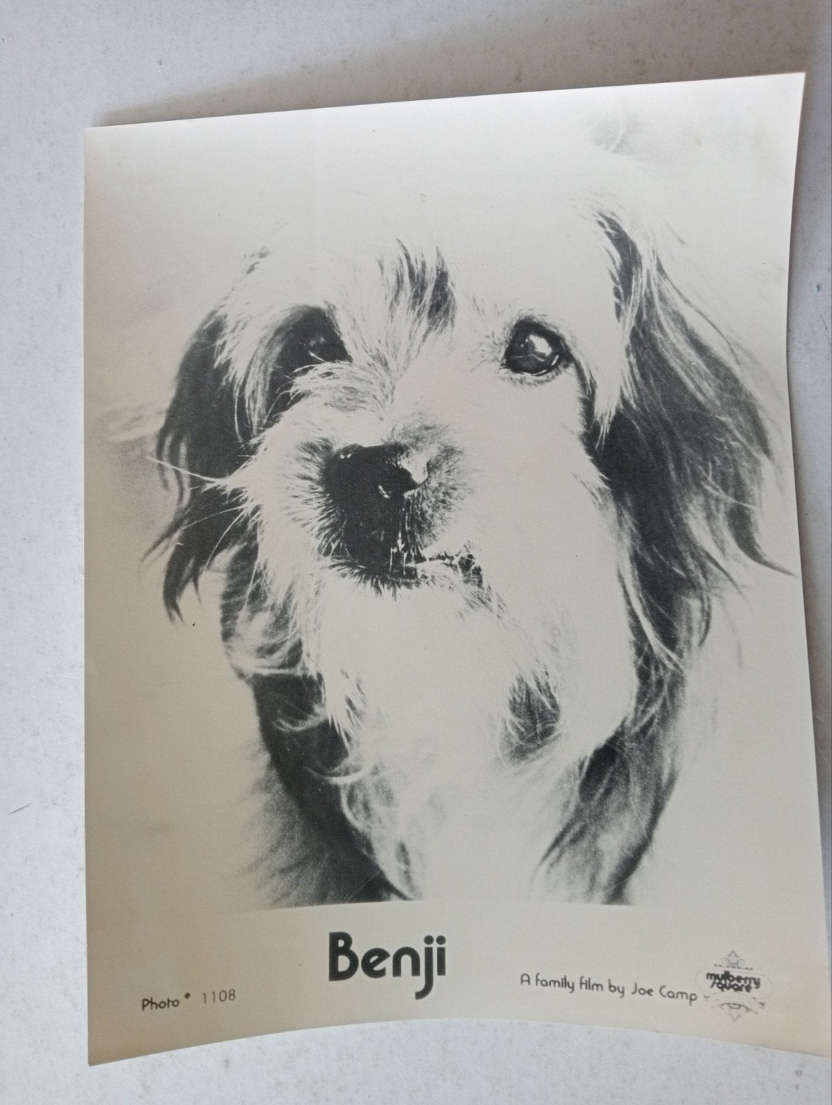 Benji 1974 Filmfoto Hond  jaren 80, Gebruikt, ., Ophalen of Verzenden, .