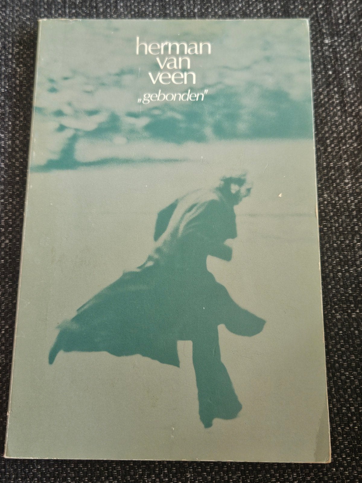 Herman van Veen - Gebonden, Boeken, Gedichten en Poëzie, Ophalen of Verzenden, Zo goed als nieuw