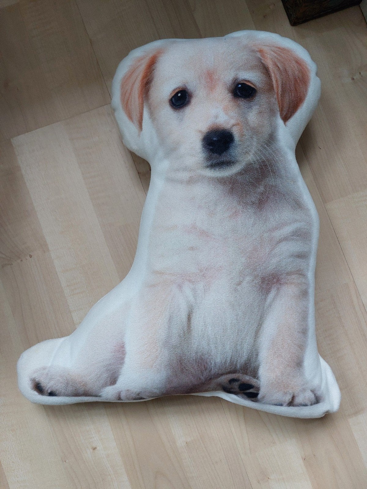 Schattig puppy kussen - Labrador Retriever, Ophalen of Verzenden, Zo goed als nieuw