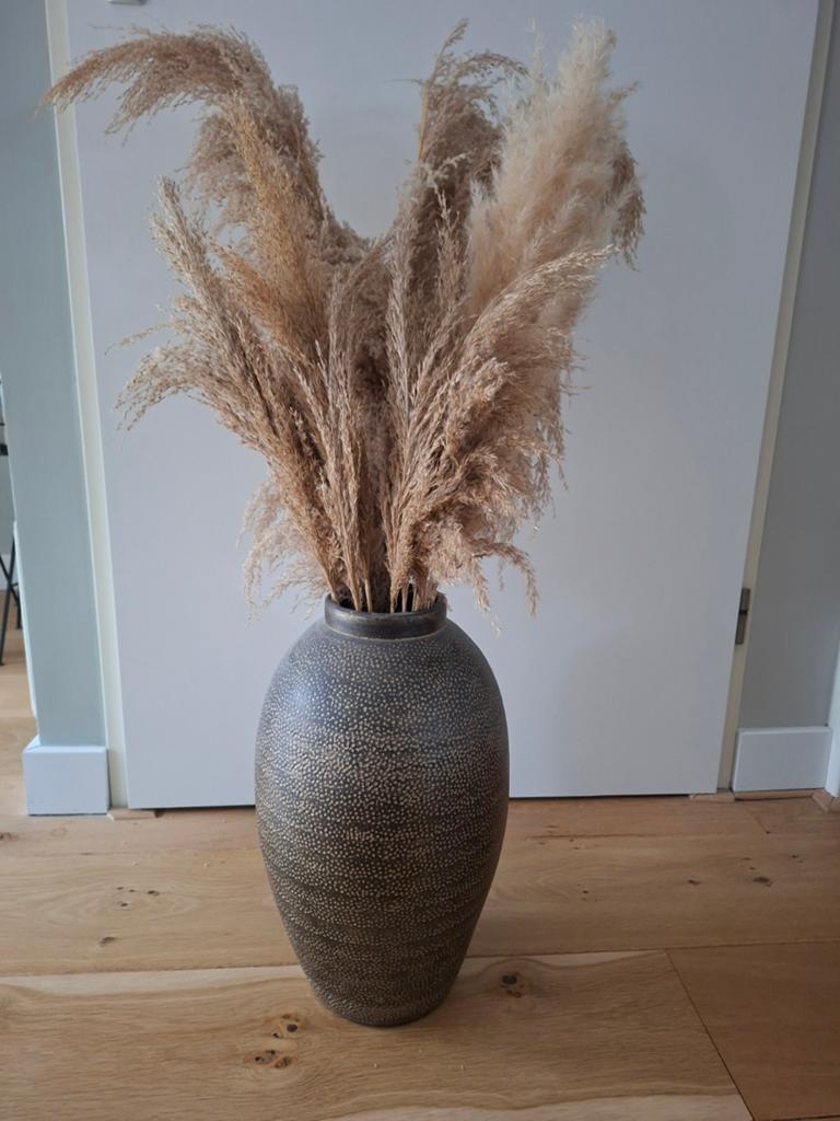 Vaas met pluimen, Huis en Inrichting, Woonaccessoires | Vazen, Ophalen of Verzenden, Overige kleuren, Glas, Minder dan 50 cm