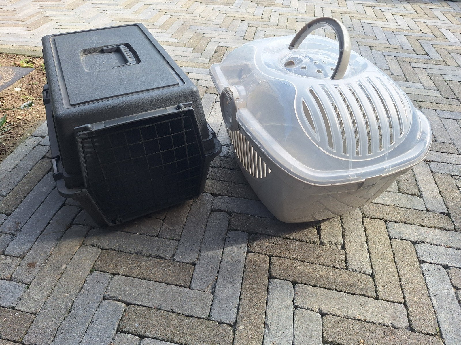 katten reismanden, Dieren en Toebehoren, Ophalen