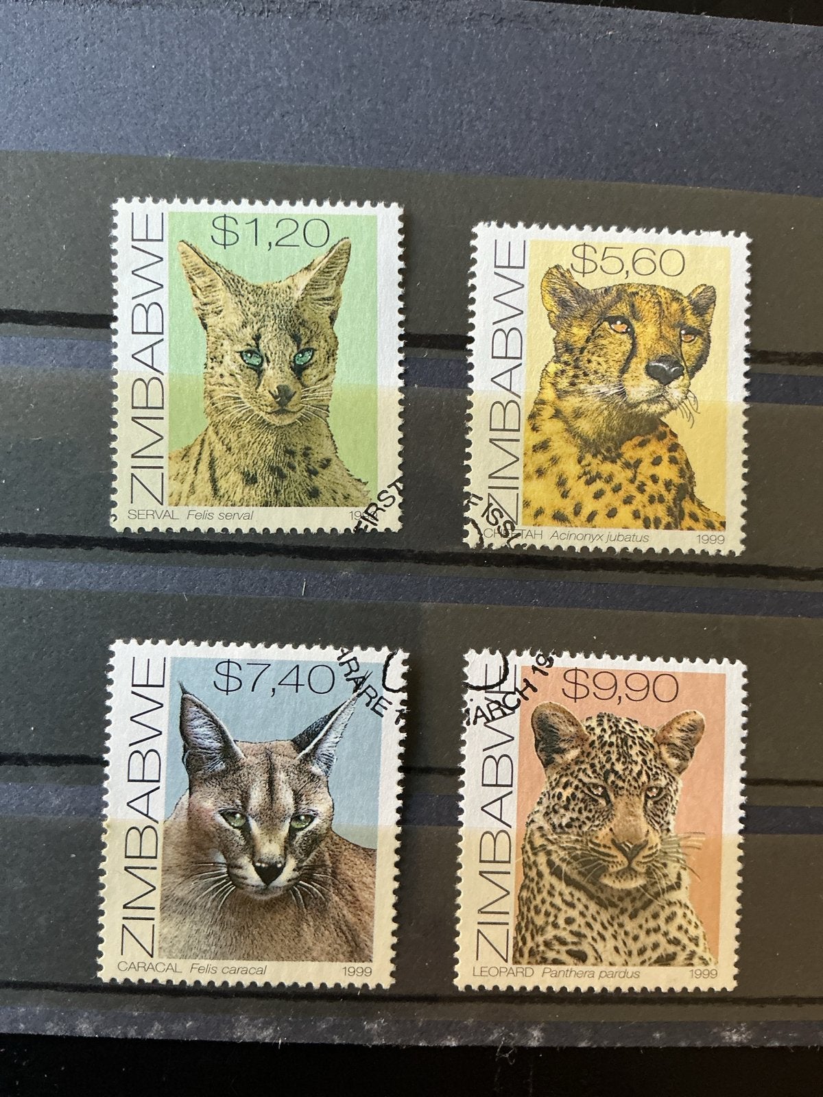 Zimbabwe Postzegels - Wilde Katten Serie 1999, Ophalen of Verzenden, Gestempeld, Dier of Natuur
