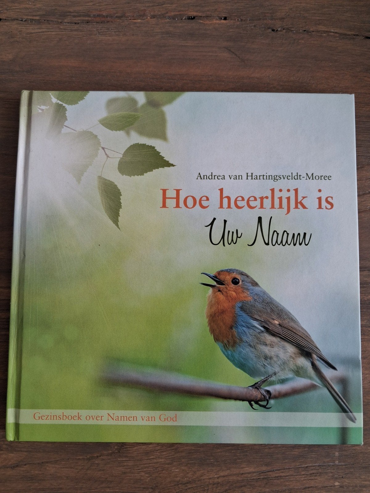 Hoe heerlijk is Uw Naam - Gezinsboek over Namen van God, Boeken, Ophalen of Verzenden, Gelezen