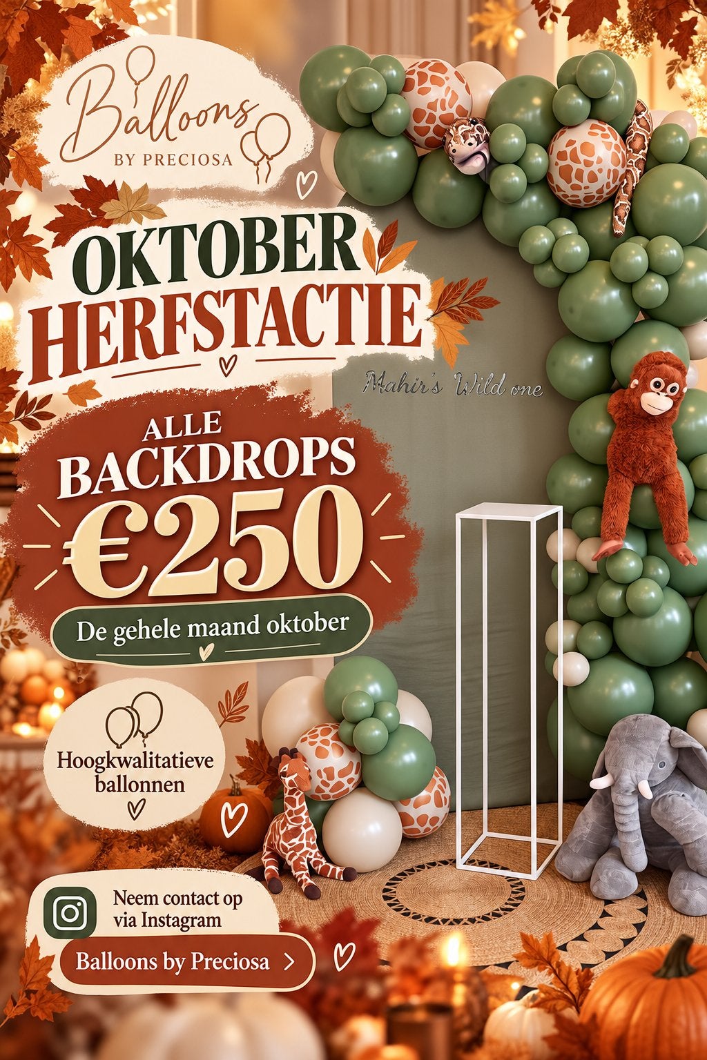 Oktober Herfstactie: Backdrops €250 - Regio Zuid-Holland, Ophalen of Verzenden, Nieuw, Versiering, Overige