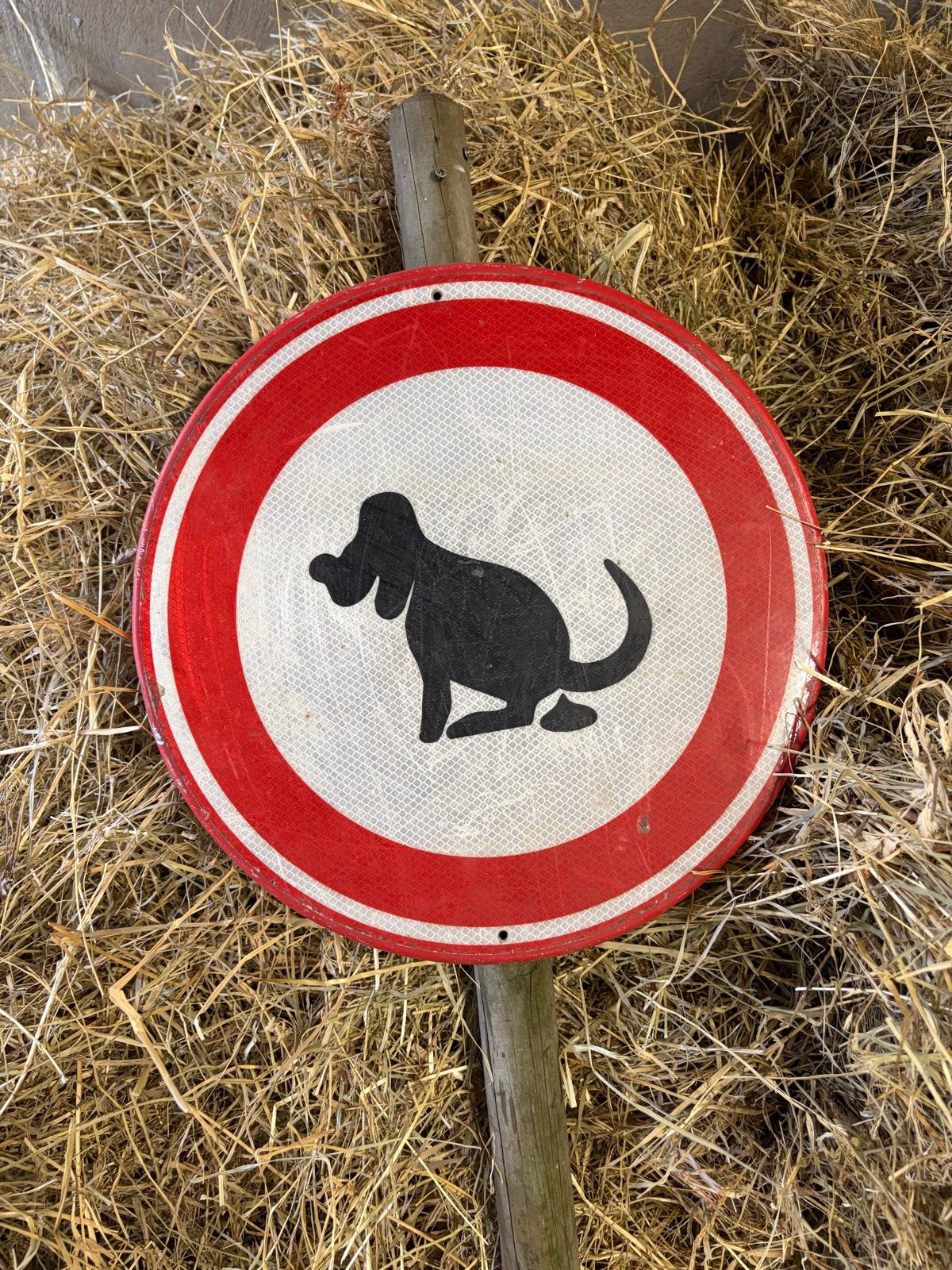 Grappig hondenpoep verbodsbord op houten paal – Ø 40 cm, Ophalen of Verzenden, Zo goed als nieuw