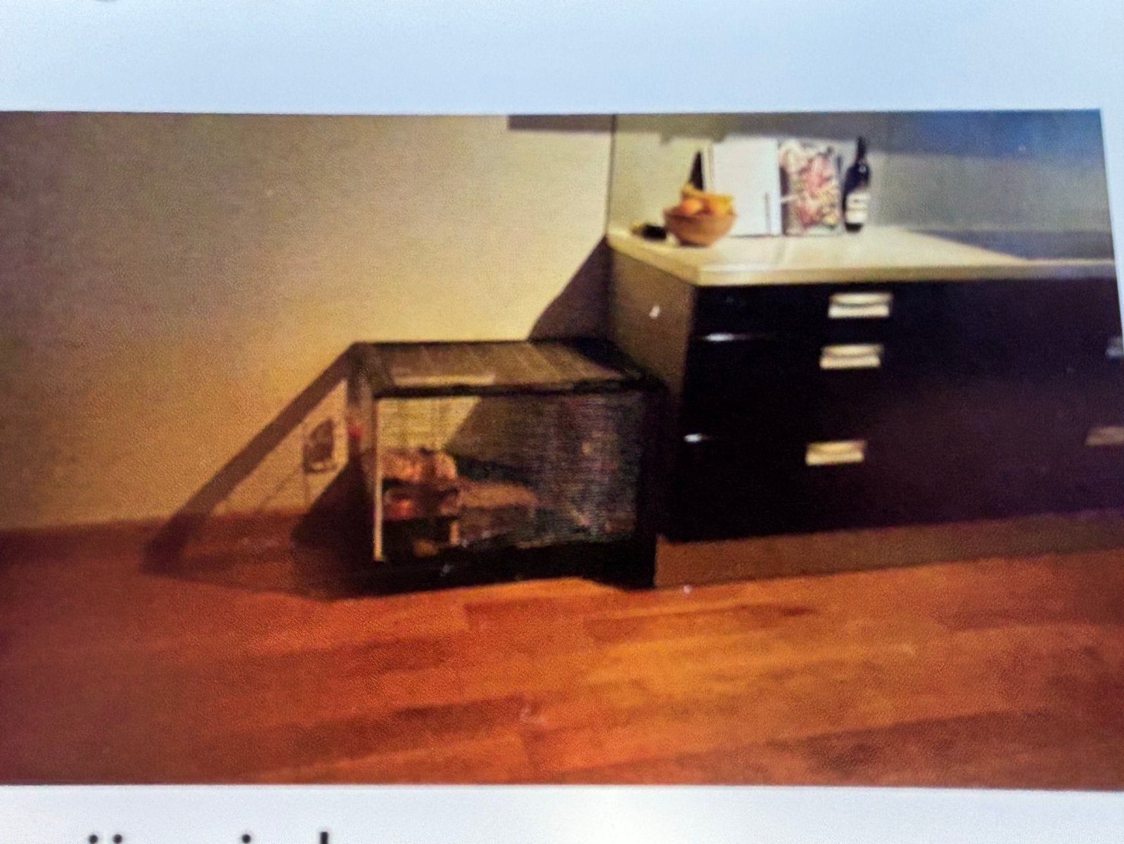 Hamsterkooi, Dieren en Toebehoren, Kooi, Minder dan 75 cm, Zo goed als nieuw, Hamster