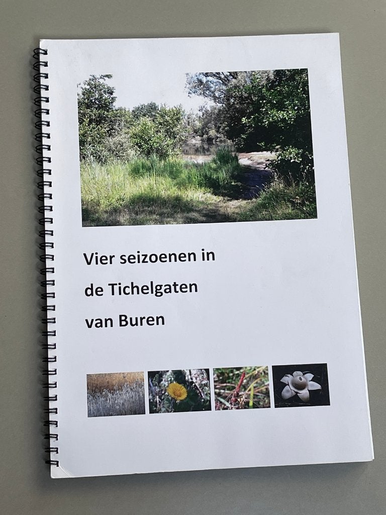 Vier seizoenen in Tichelgaten van Buren. 2017, Ophalen of Verzenden, 20e eeuw of later, Zo goed als nieuw
