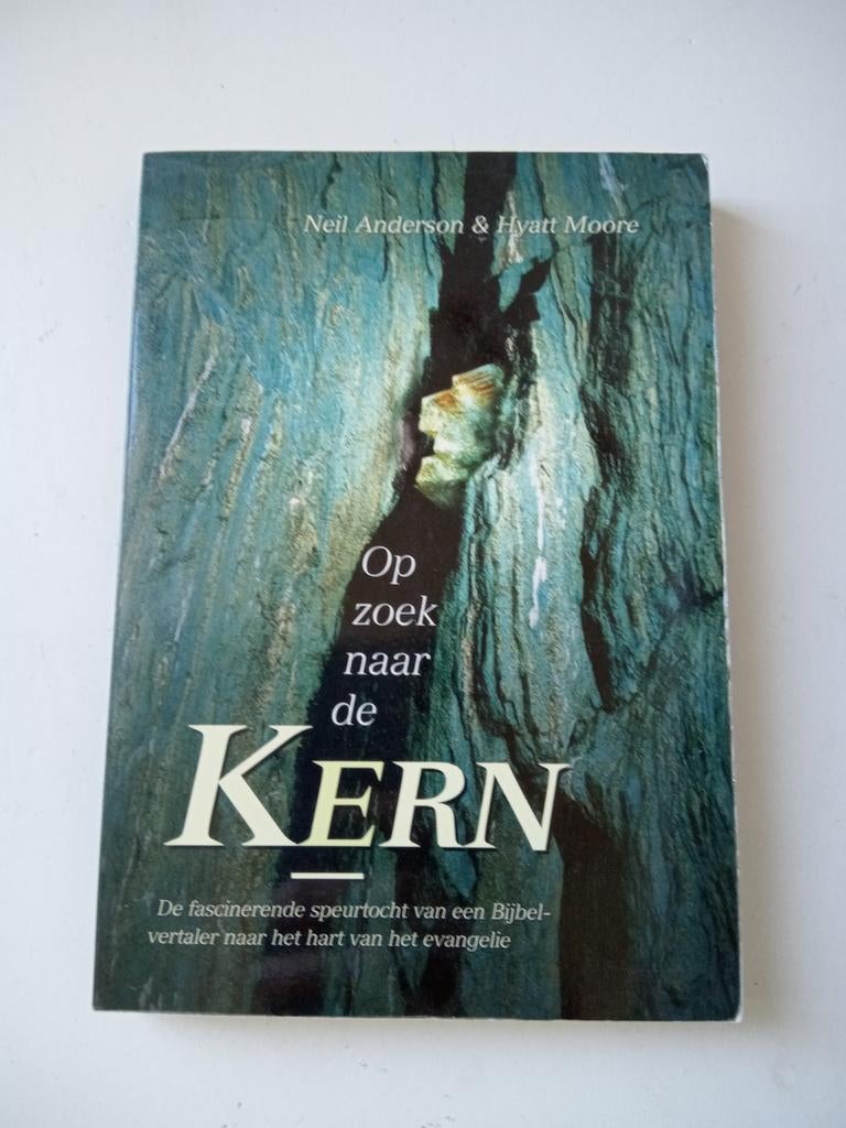 Neil T Anderson - Op zoek naar de kern, Boeken, Ophalen of Verzenden, Zo goed als nieuw, Natalie Anderson