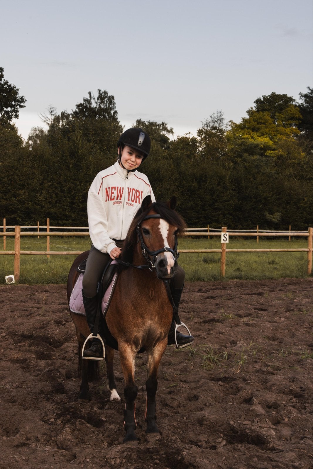 Welsh pony candy (calabria)koop of lease, Dieren en Toebehoren, Merrie