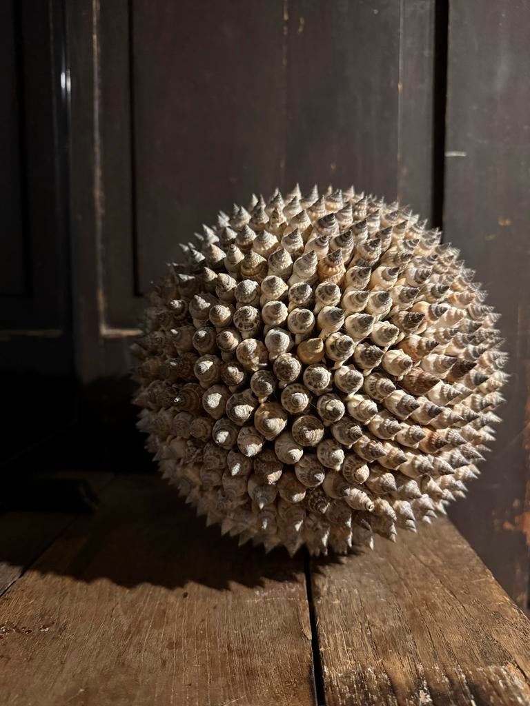 Decoratieve bol van schelpen - Uniek handgemaakt item, Beige, Overige stijlen, Ophalen of Verzenden, Zo goed als nieuw