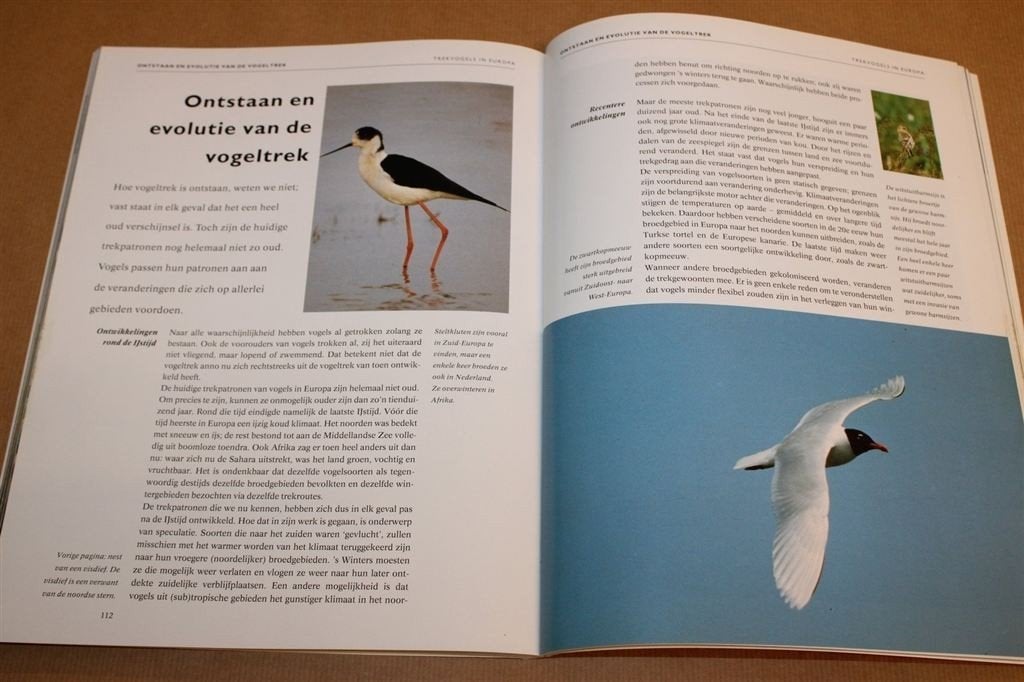 Trekvogels in Europa — Routes, Bestemmingen & Trekgedrag, Boeken, Ophalen of Verzenden, Zo goed als nieuw, Vogels