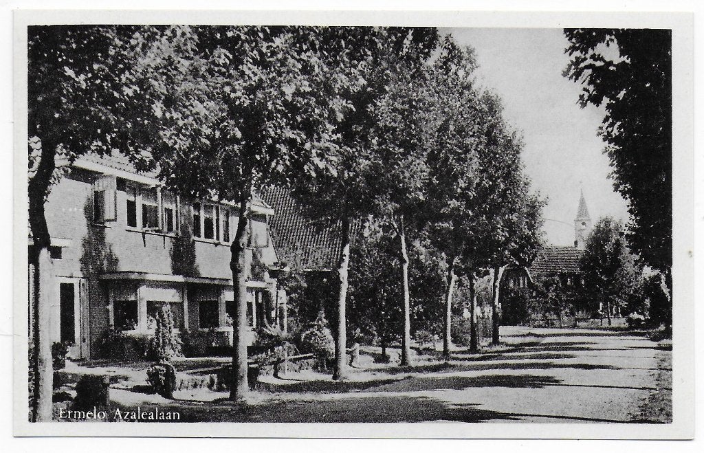 Ermelo Azalealaan ongelopen Ansichtkaart ( B7141 ), Ophalen of Verzenden, 1960 tot 1980, Ongelopen, Gelderland