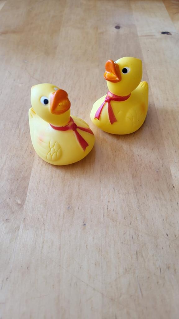 2 bad-eendjes, Ophalen of Verzenden