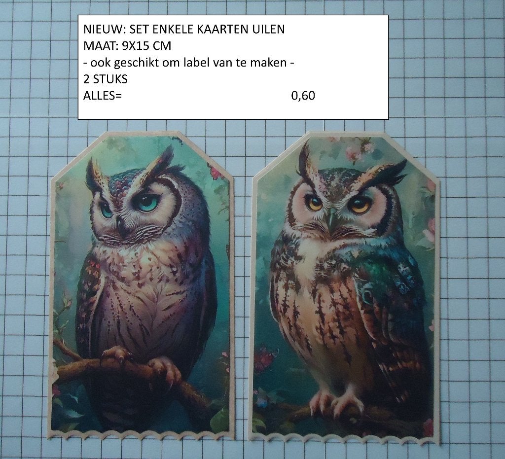enkele kaarten uilen ( alleen verzenden, Ophalen, Nieuw, Versiering of Embellishment, Overige merken