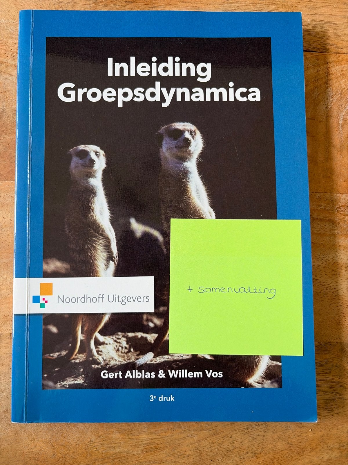 Inleiding Groepsdynamica - Gert Alblas & Willem Vos, Ophalen of Verzenden, Gamma, Zo goed als nieuw, HBO