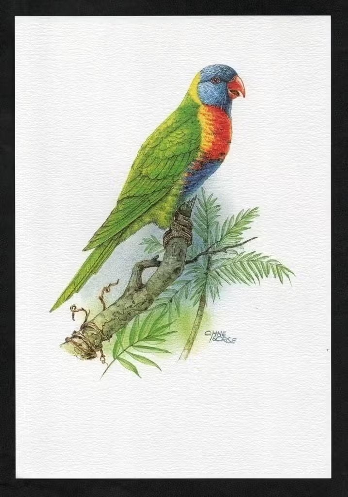 Bloedvleklori Regenbooglori Trichoglossus Vogel Kunstdruk., Ophalen of Verzenden, Zo goed als nieuw