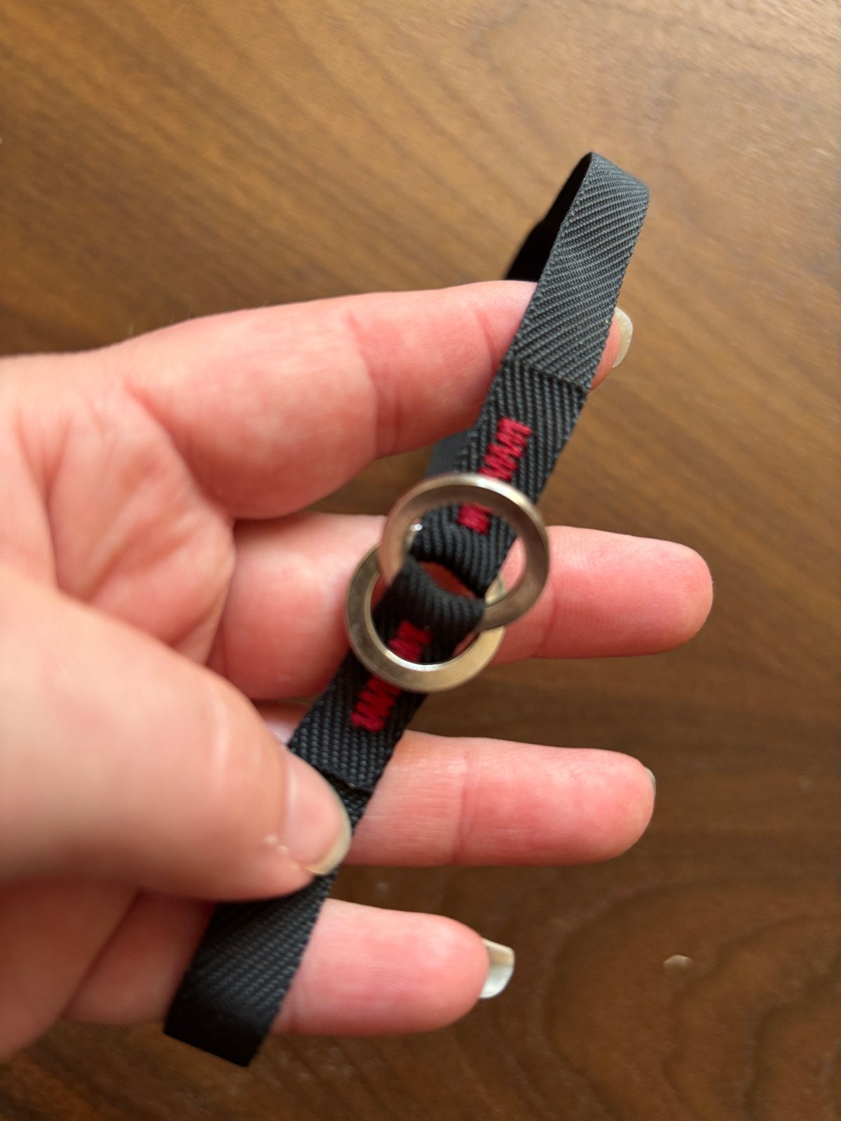 Slip halsband hond, Ophalen of Verzenden, Nieuw