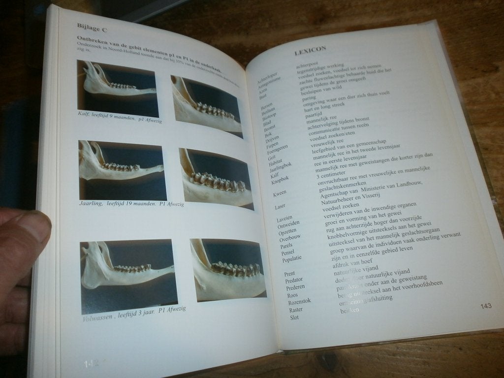 reeën kijken en beheren baltus klip jacht boek + extra boek, Boeken, Ophalen of Verzenden, Nieuw, Overige onderwerpen