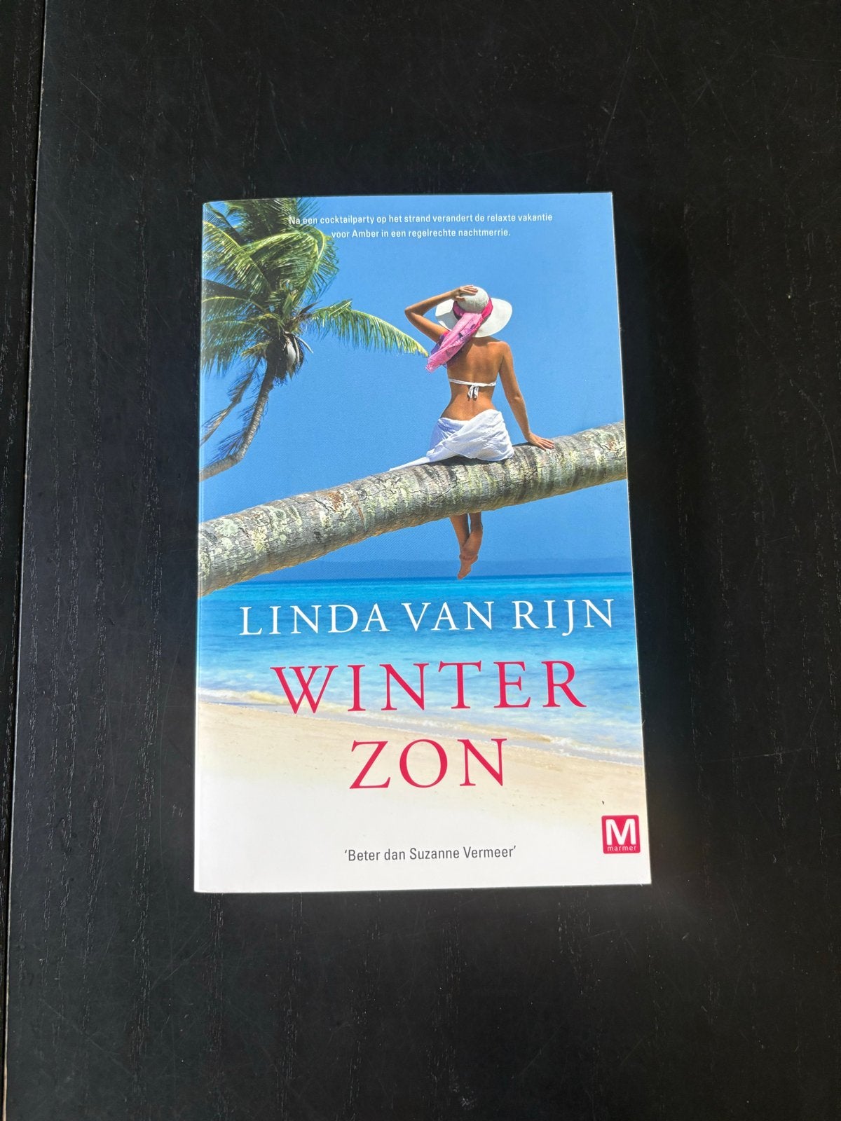 Linda van Rijn - Winter ZON (Thriller), Ophalen, Gelezen, Nederland