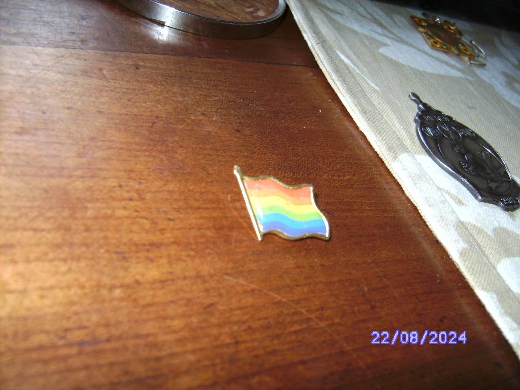 speld meerkleurige vlag metaal, Ophalen of Verzenden, Zo goed als nieuw, Overige onderwerpen, Speldje of Pin