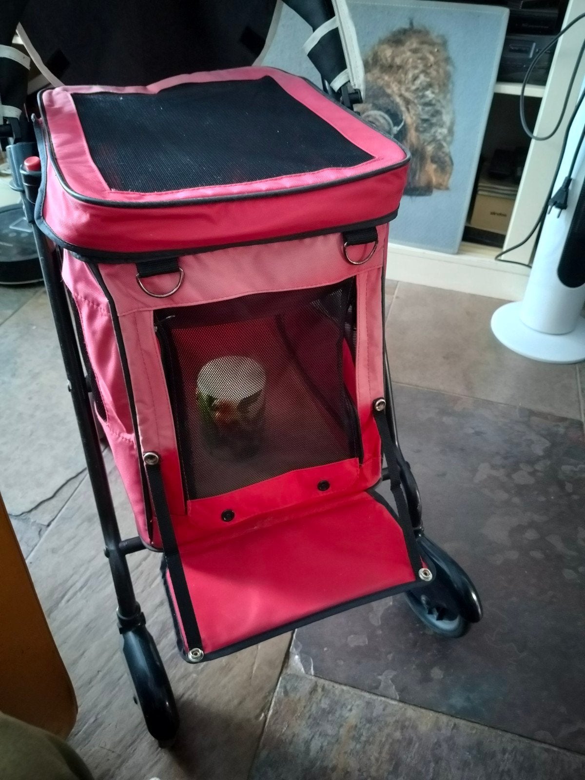 B&B honden buggy ,kleur rood, Dieren en Toebehoren, Ophalen