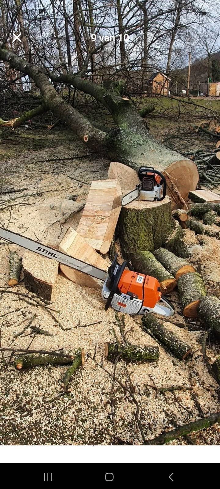tuinman gezocht jaren gewerkt bij staatsbosbeheer, Tuin en Terras, Haardhout, Minder dan 3 m³, Ophalen of Verzenden
