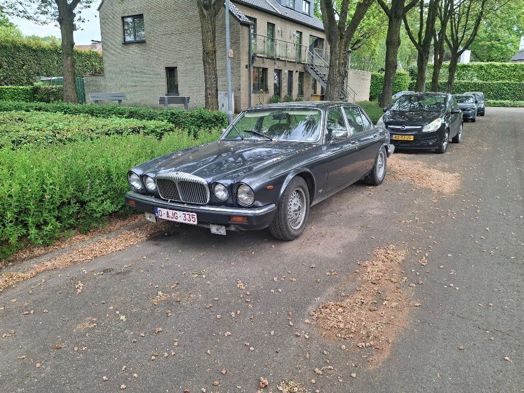 Jaguar, Auto's, Automaat, Achterwielaandrijving, Overige carrosserieën, 12 cilinders