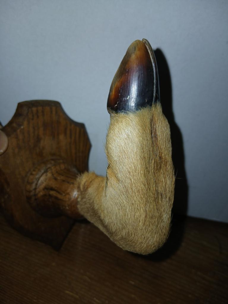 Reepootje, kapstok, Ophalen of Verzenden
