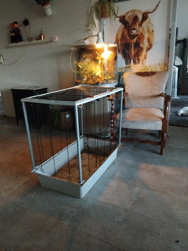 Gratis Rattenhok, Ophalen, Kooi, Minder dan 60 cm