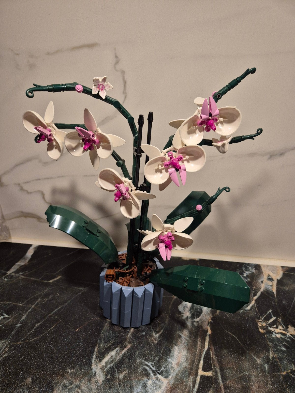 LEGO Icons orchidee kerst sinterklaas, Ophalen, Gebruikt