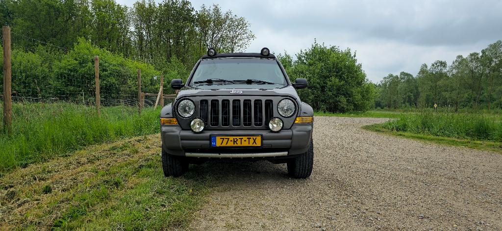 Jeep Cherokee 2.8 CRD AUT 2005 Bruin, Automaat, Beige, Bruin, 3360 kg