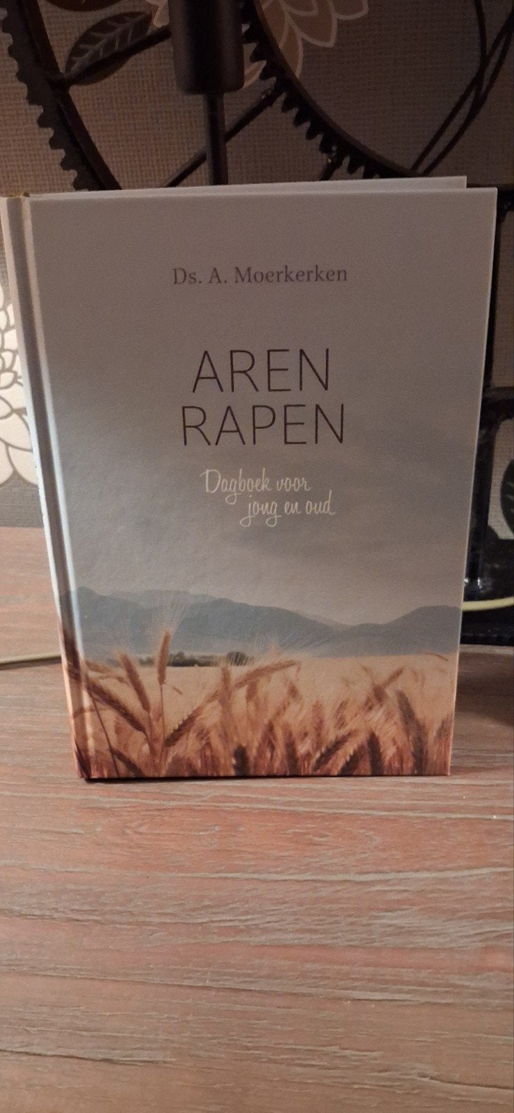 Aren Rapen - Dagboek voor jong en oud (Ds. A. Moerkerken), Boeken, Ophalen of Verzenden, Zo goed als nieuw, Ds. A. Moerkerken