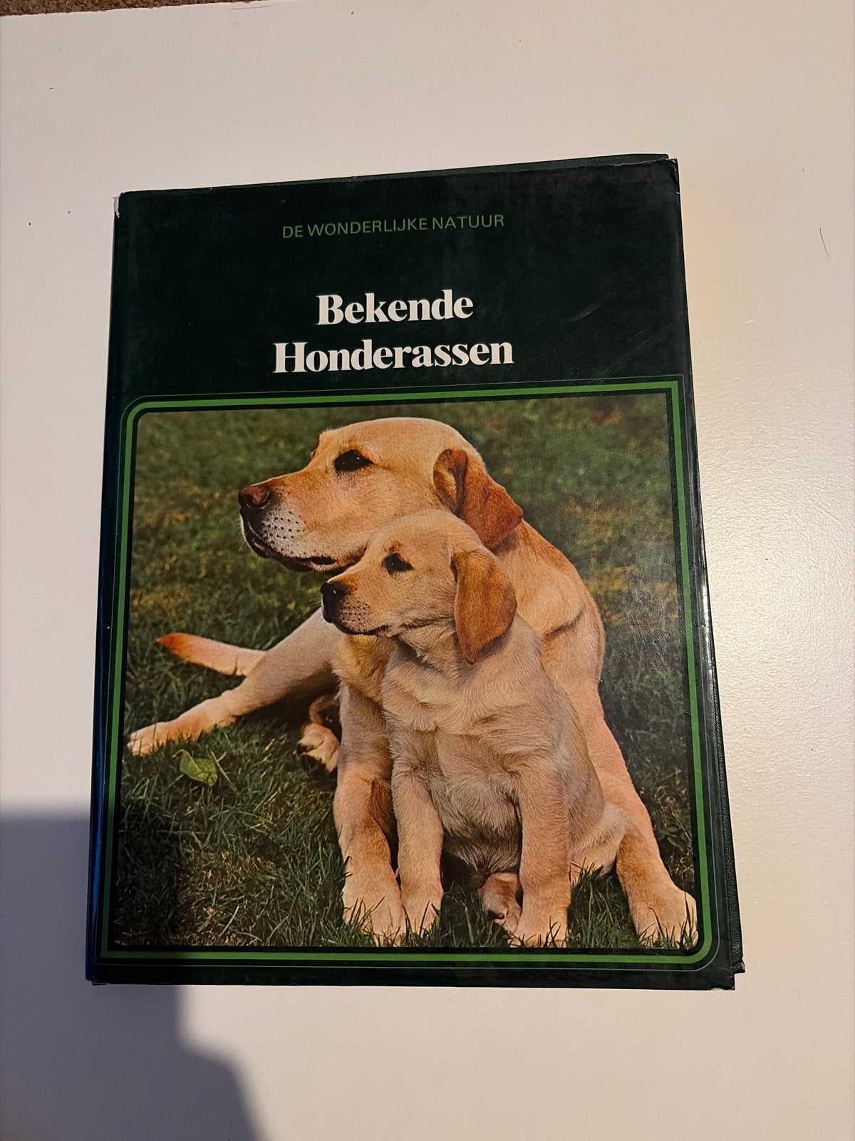 Bekende Hondenrassen - De Wonderlijke Natuur, Ophalen of Verzenden, Gelezen, Honden
