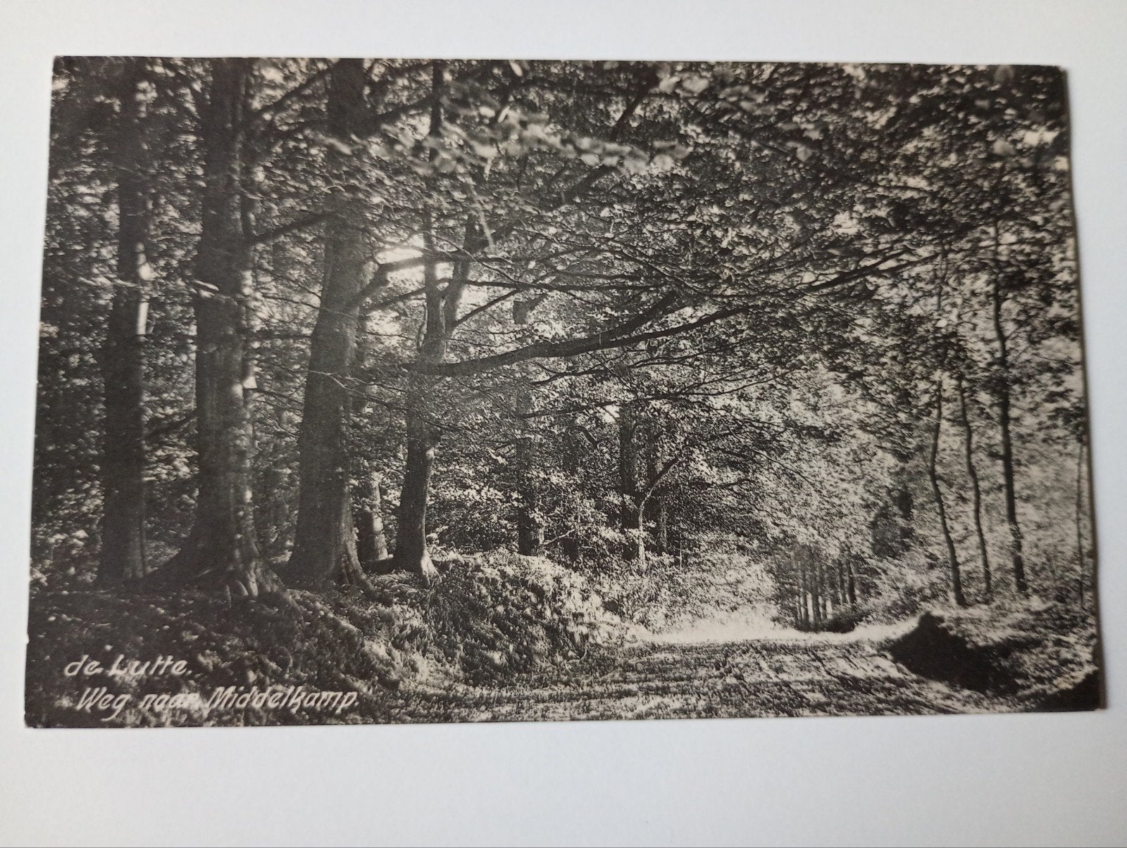 De Lutte bij Oldenzaal Weg naar Middelkamp 1919, Ophalen of Verzenden, Voor 1920, Gelopen, Overijssel