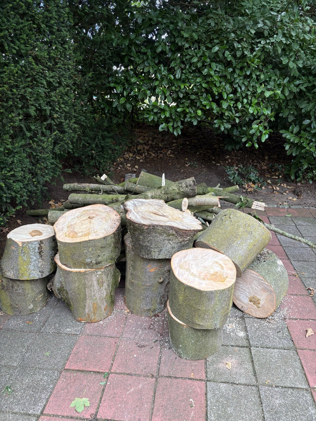 Esdoorn kachelhout: blokken en stammen, Minder dan 3 m³, Ophalen, Overige houtsoorten, Blokken
