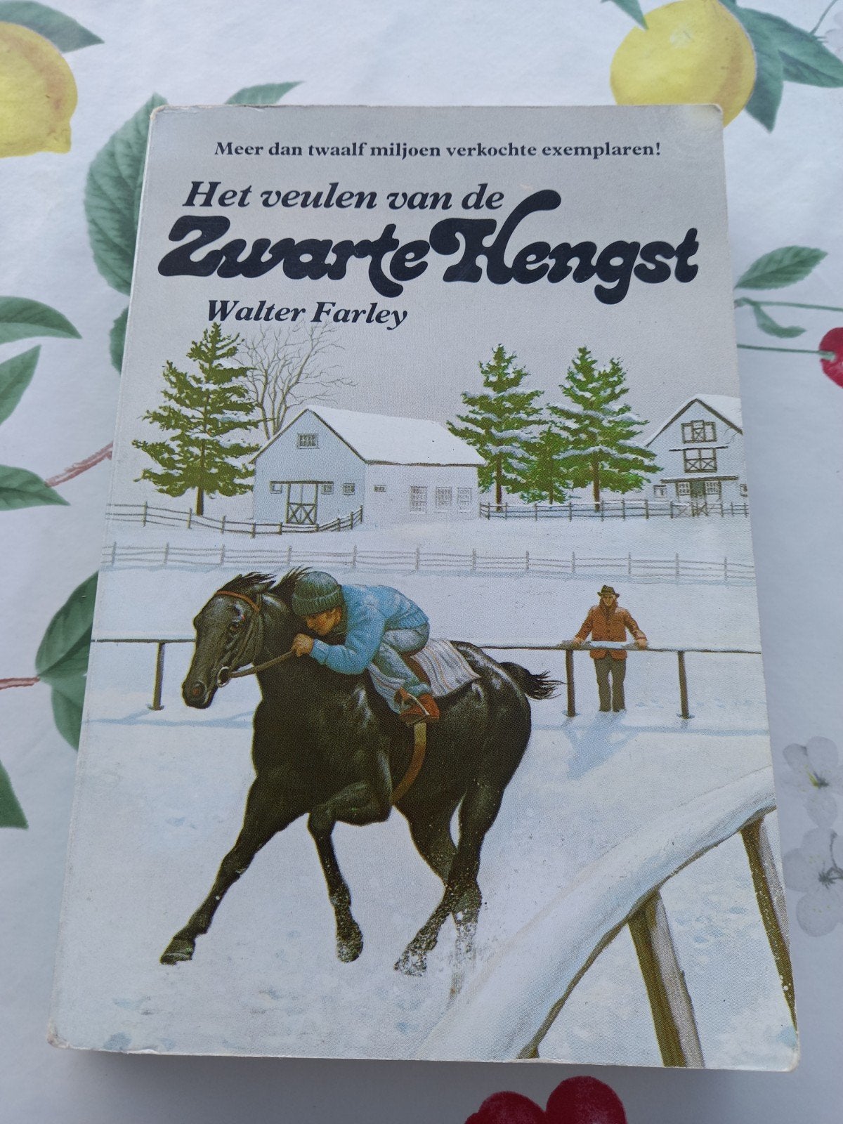 B Het veulen van de Zwarte Hengst - Walter Farley, Boeken, Ophalen of Verzenden, Gelezen, Walter Farley, Fictie algemeen
