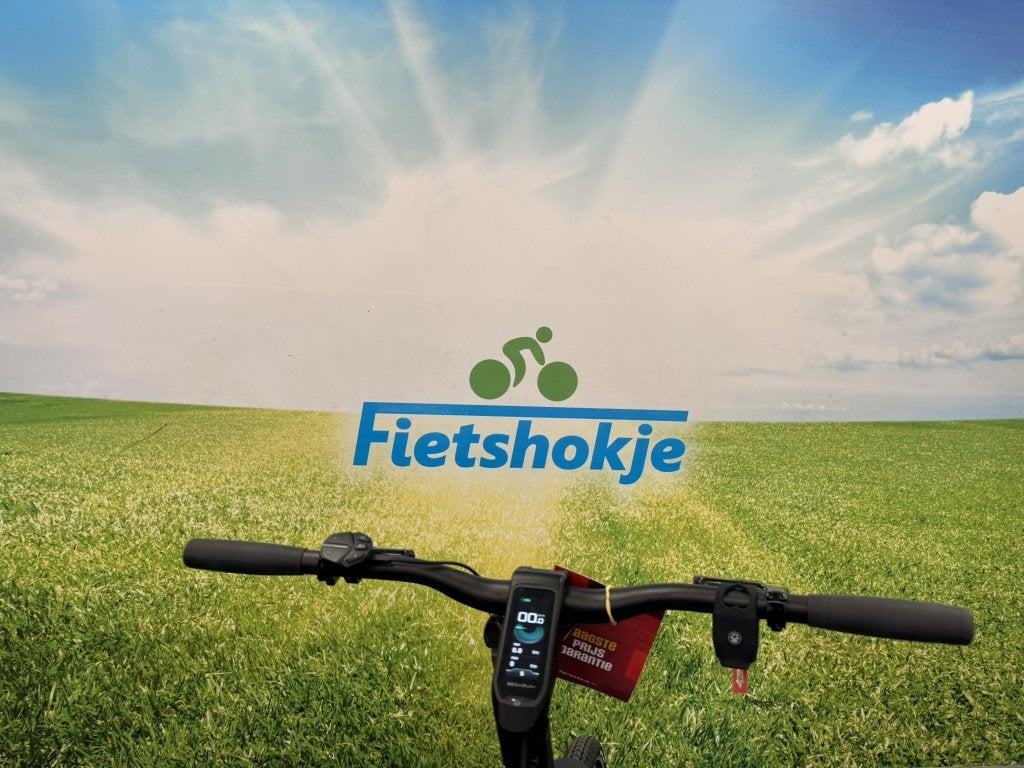Fietshokje Amersfoort: Nieuwe Raaks Urban E-Bike, Fietsen en Brommers, Elektrische fietsen, Niet ingevuld, Nieuw, Ophalen of Verzenden