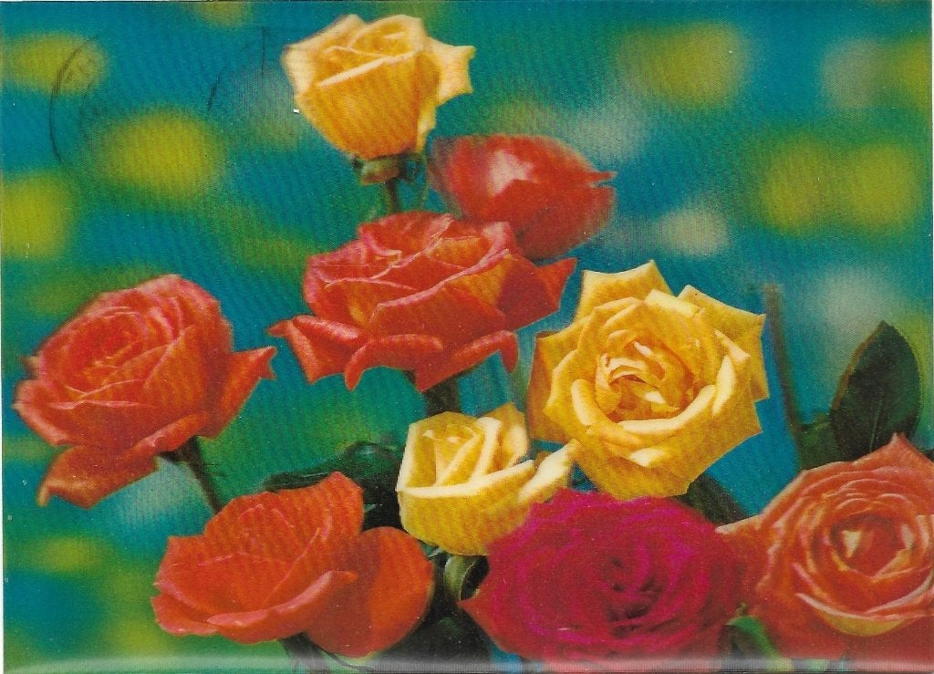 Ansichtkaart  	Rozen	3D kaart, Verzenden, 1960 tot 1980, Gelopen, Natuur