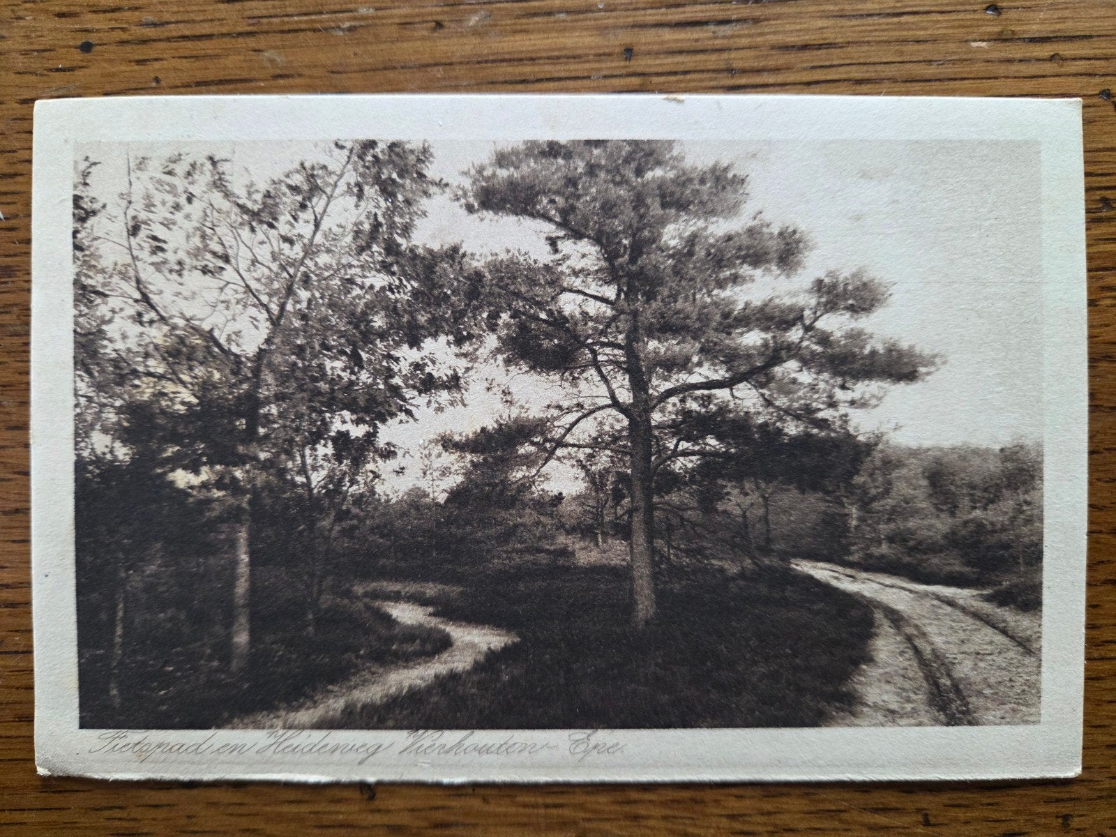 Vierhouten Epe, Fietspad en Heideweg, 1926, Ophalen of Verzenden, 1920 tot 1940, Gelderland