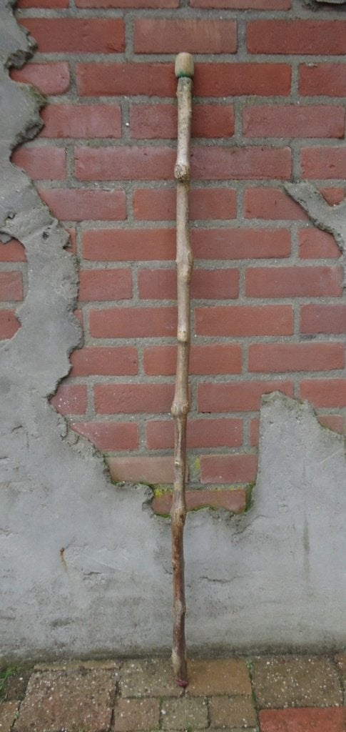 Lange stevige WANDELSTOK natuurlijke vervormingen ( 28 ), Ophalen of Verzenden, Nieuw, Toneelattributen of Onderdelen