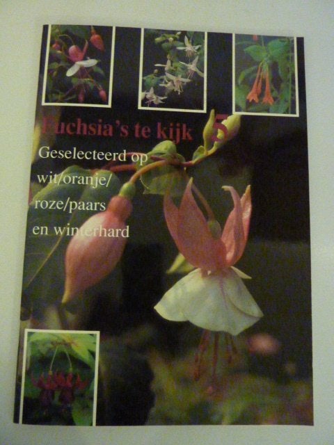 Fuchsia\'s te kijk, wit/oranje roze/paars winterhard, Verzenden, Nieuw