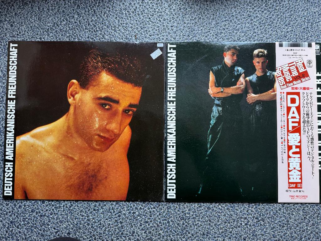 DAF new wave, Ophalen of Verzenden, Zo goed als nieuw, 12 inch, Inclusief binnenhoes