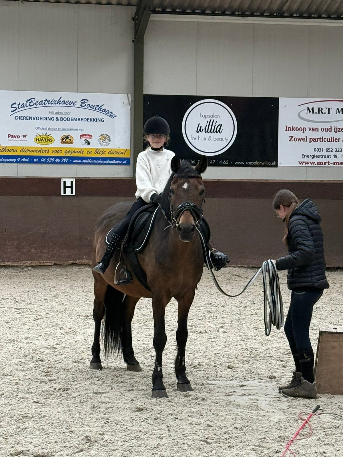 Verzorgpony gezocht omgeving Lamswaarde, Verzorging of Verzorgpony's