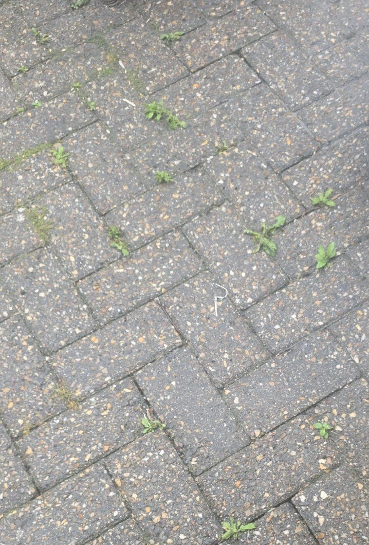 Gratis af te halen betonklinkers, Tuin en Terras, Gras en Kunstgras, Ophalen, Gebruikt, 20 m² of meer