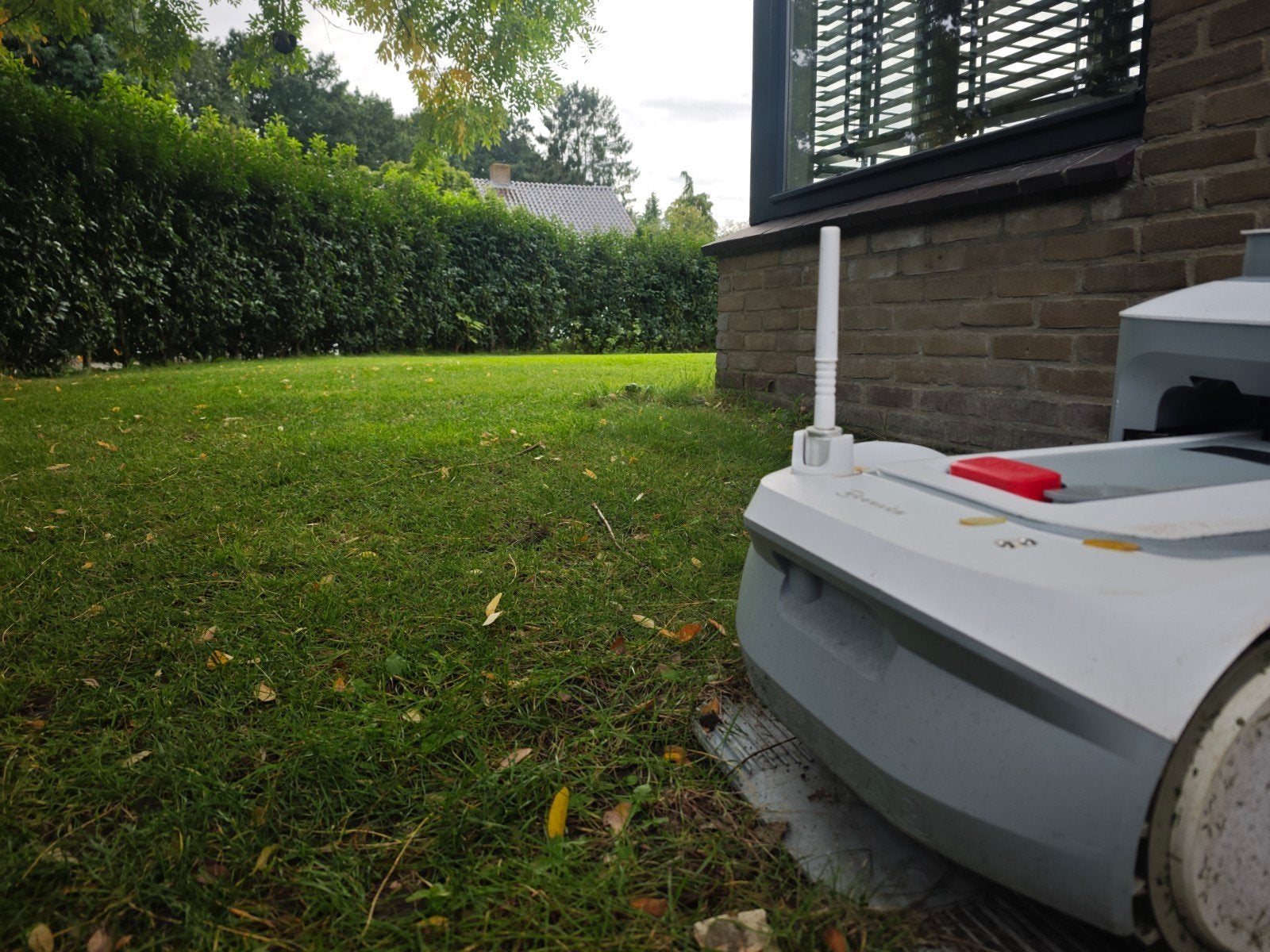 Foto 2 van Ecovacs Robotmaaier