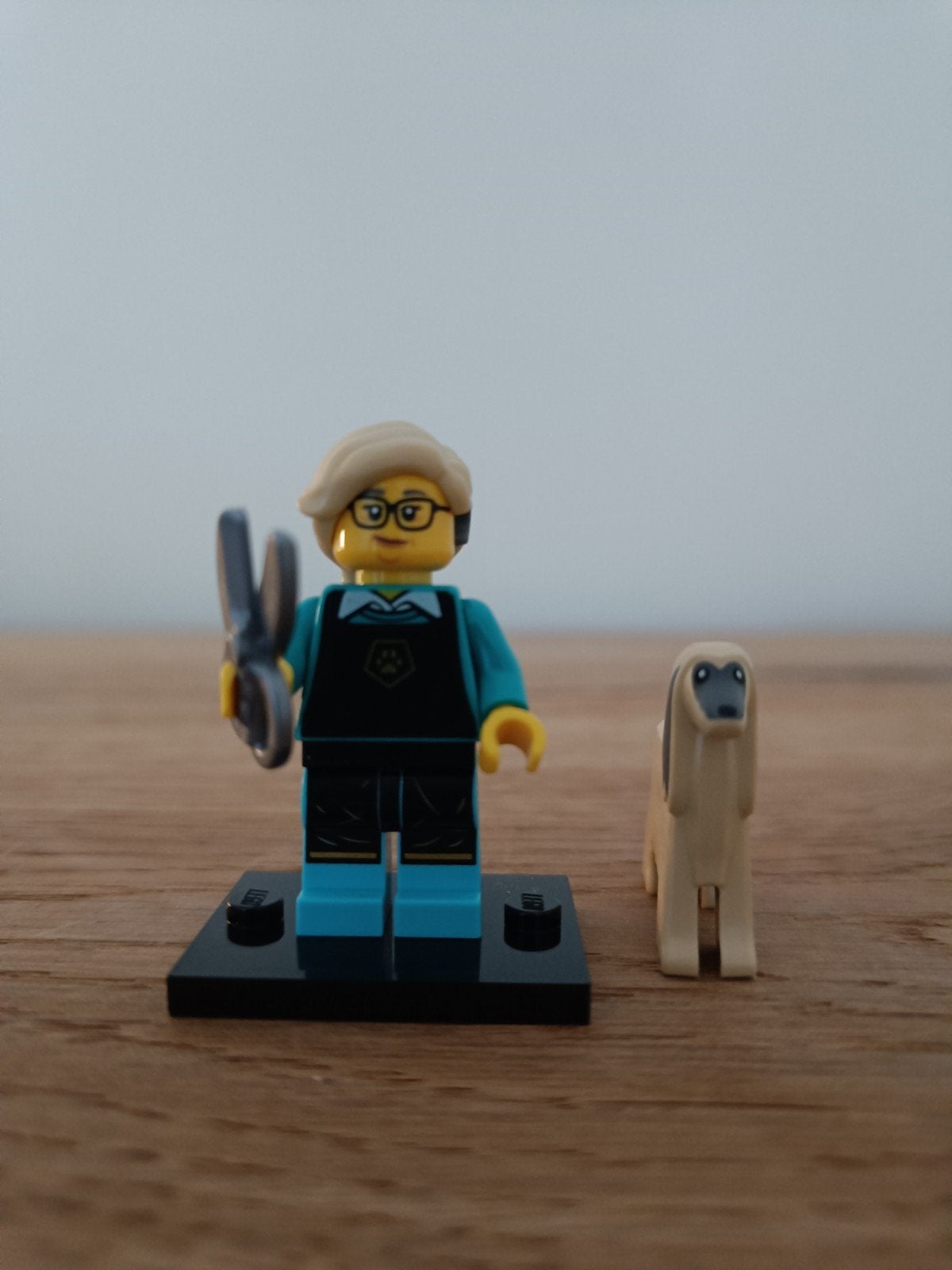 LEGO CMF Serie 25 Hondenverzorgster met Afghaanse Windhond, Lego, Nieuw, Ophalen of Verzenden, Minifiguur