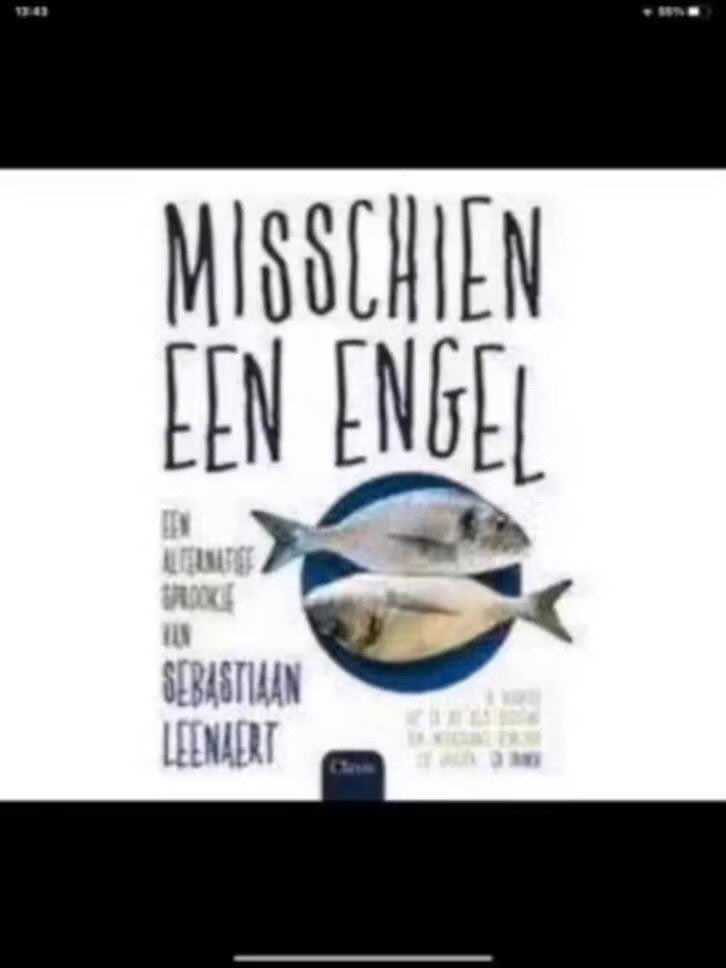 Misschien een engel - Sebastiaan Leenaert, Boeken, Gelezen, Ophalen of Verzenden, Nederland, Sebastiaan Leenaert