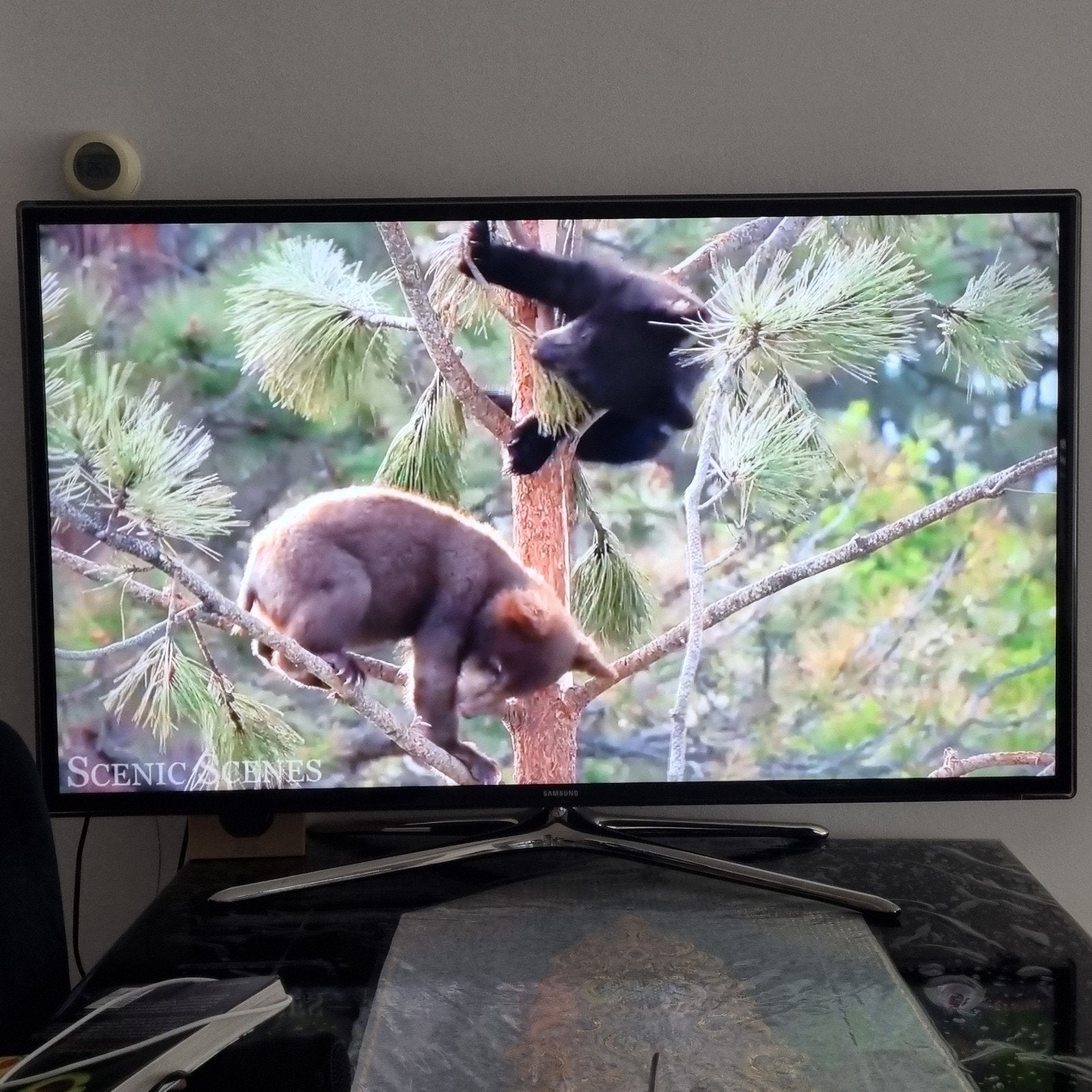 Television SAMSUNG 43 INCH, Ophalen, Gebruikt, 100 cm of meer, Samsung