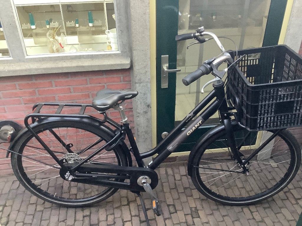 Giant Triple X damesfiets, Fietsen en Brommers, Fietsen | Dames | Damesfietsen, Ophalen, Versnellingen, Giant, Zo goed als nieuw
